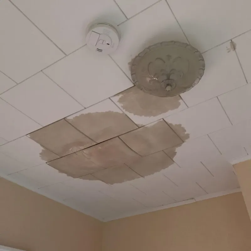 Ceiling Water Damage Repair in Garfield County, NE