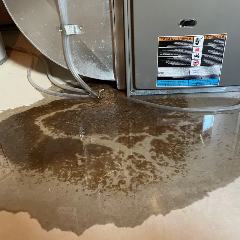 Pipe Burst and Leak Restoration in Garfield County, NE